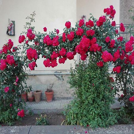 Apartament Casa Sciotto Linguaglossa Zewnętrze zdjęcie