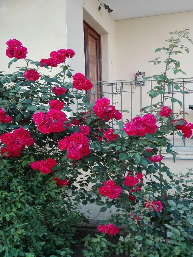 Apartament Casa Sciotto Linguaglossa Zewnętrze zdjęcie
